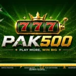 PAK500 Game
