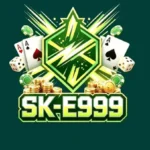 SK-E999 Game