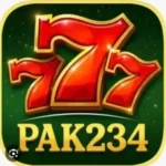 PAK234 Game